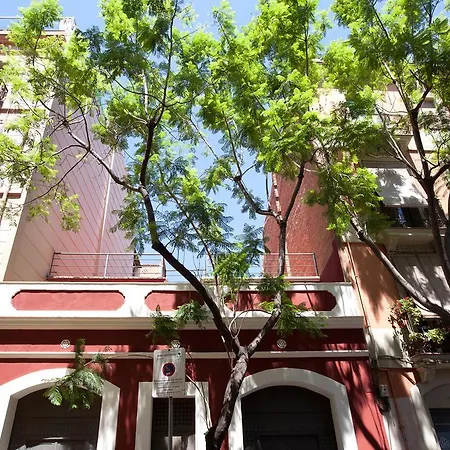 Zenbcn * Barcelona